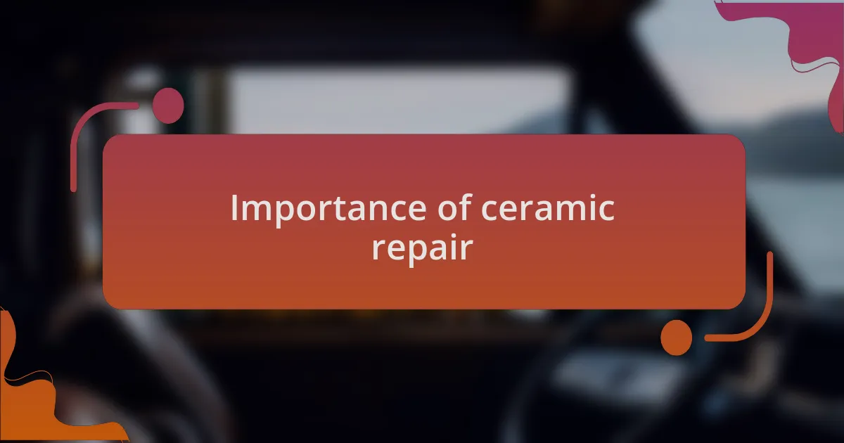 Importance of ceramic repair