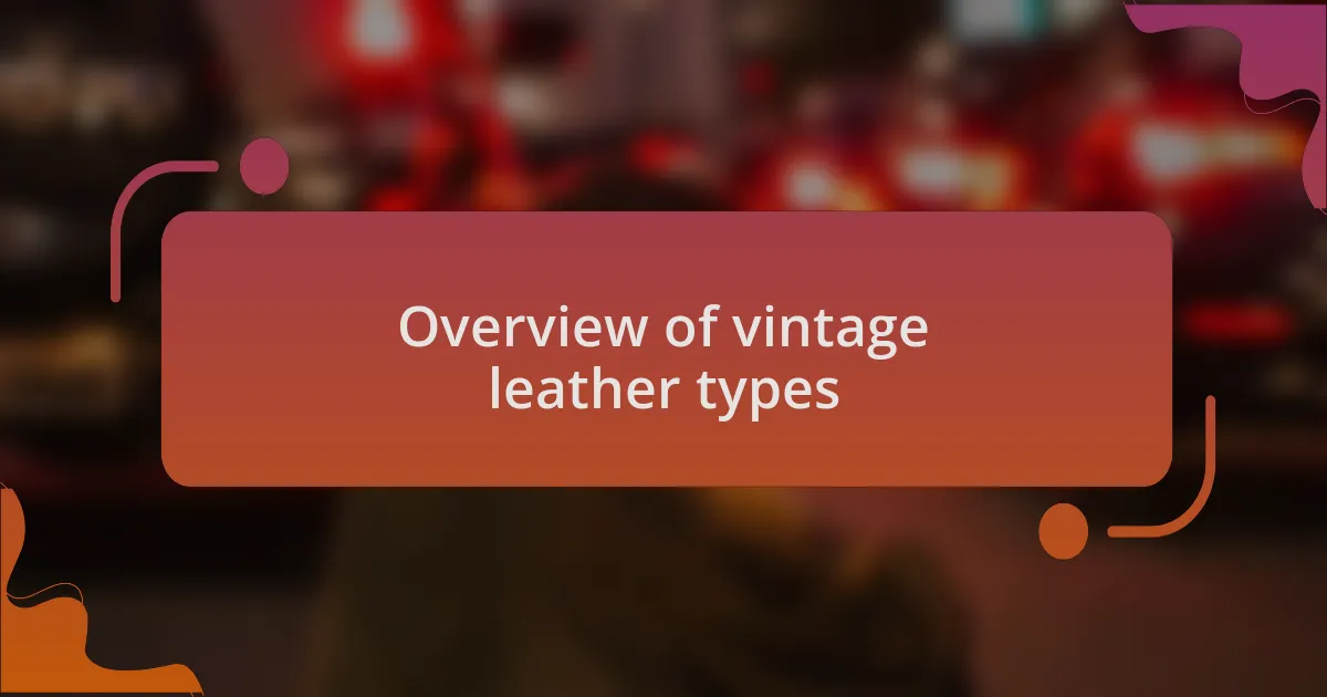 Overview of vintage leather types
